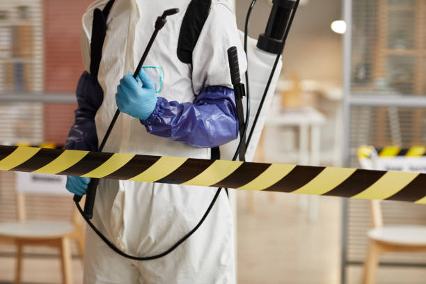 Professional Sewage Cleanup technician working in Polk, OH